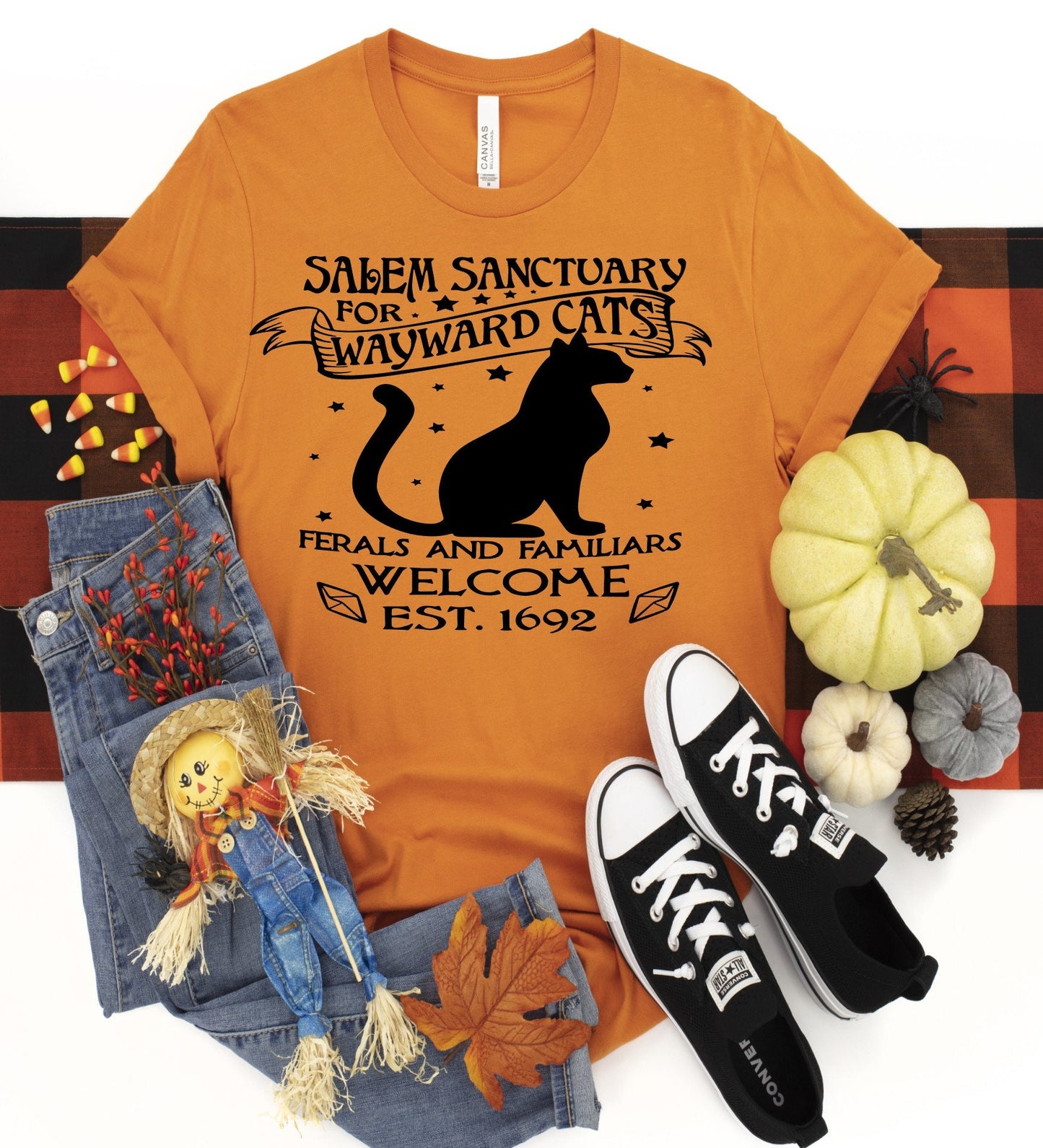 Salem Sanctuary For Wayward Cats, Ferals and Familiars Welcome,  Est 1692, We Love Black Cats, Cat Lover Tee, Witch Familiar, Feral Cats tee