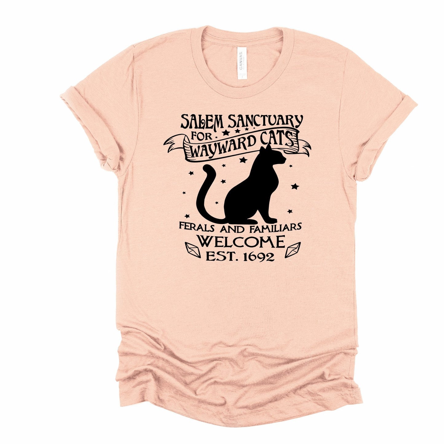 Salem Sanctuary For Wayward Cats, Ferals and Familiars Welcome. est 1692, Love Cats, Witch Cats, Witchy Cats, Witch Shirt, Witchy Kitty, Cat